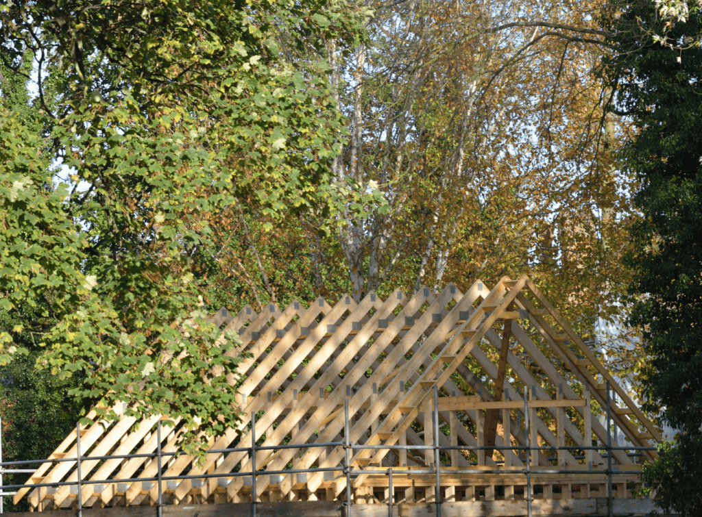 Charpente en construction entourée d'arbres.