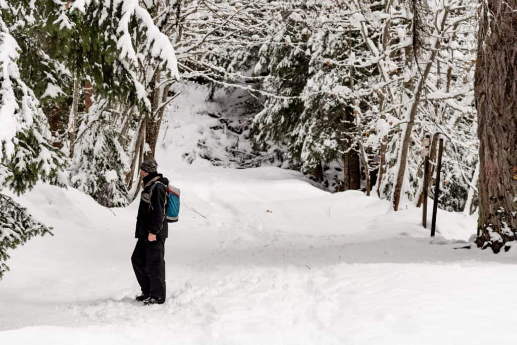 Un homme traverse une forêt dans la neige.