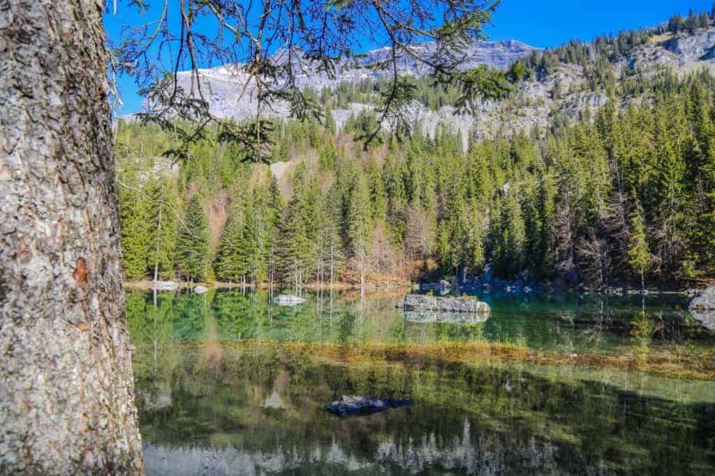 Alpine lake reflecting a pine forest, an idyllic landscape for an autumn hike.