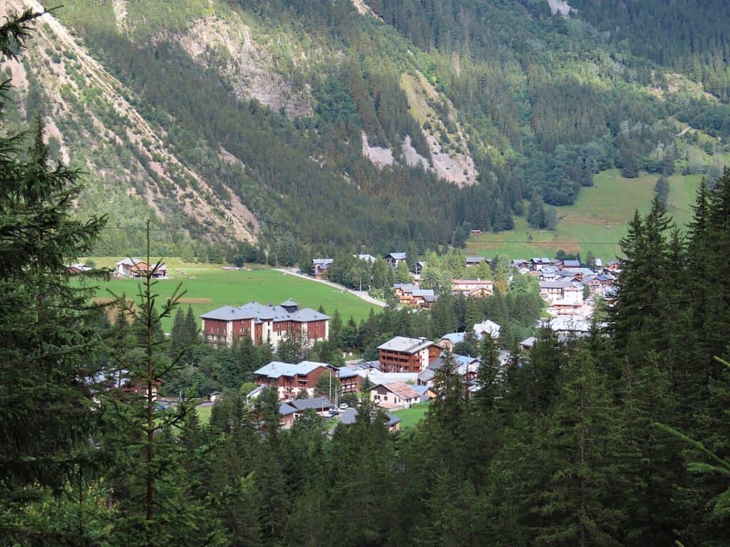 View on Pralognan through the pinetrees.