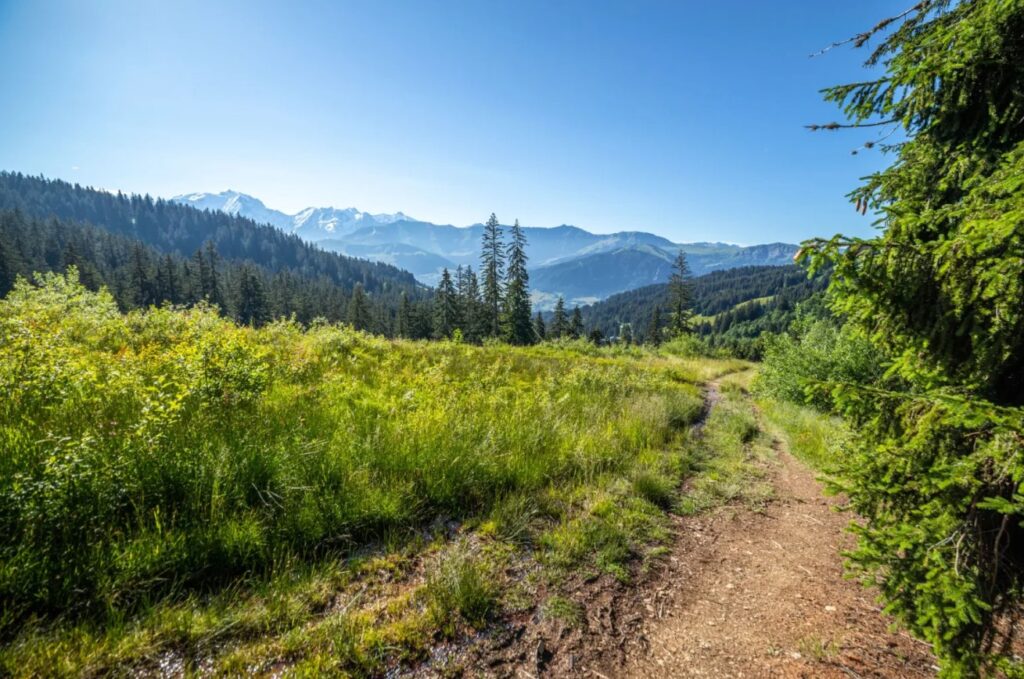Sentier de randonnée en été près de Megève.